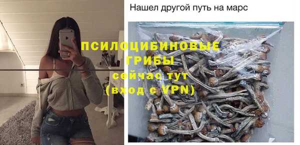 круглые Аркадак
