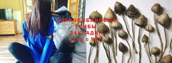 круглые Аркадак