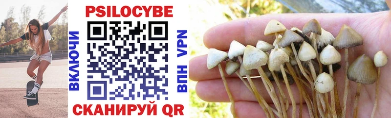 где купить наркоту  Белёв  Псилоцибиновые грибы Psilocybine cubensis 